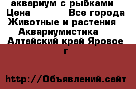 аквариум с рыбками › Цена ­ 1 000 - Все города Животные и растения » Аквариумистика   . Алтайский край,Яровое г.